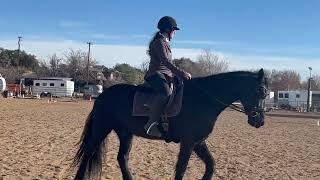 Lizann Dunegan and Mateo Level 1 Intro Working Equitation Dressage Test [upl. by Columba]