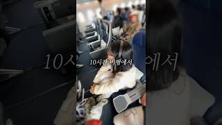 한국에서 미국으로 1시간만에 가는 방법✈️💨 에어프레미아 미국여행 탑승후기 [upl. by Etnovaj523]