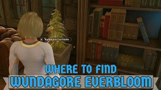 Wundagore Everbloom Spawn Locations  Marvels Midnight Suns Wisdom of The Woods Trophy Guide [upl. by Rihaz]