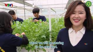 Potato Seed Production Using Aeroponics Technology  VNUAE  VTV [upl. by Niessuh]