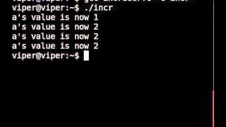 Increment And Decrement Operators  English [upl. by Eichman]