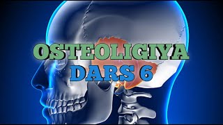 Osteologiya 6dars Galvirsimon suyak Baxtiyor Norbekovich [upl. by Eytteb750]