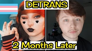 My 2Month Detransition What’s Changed [upl. by Katzir]