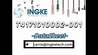 T4171010002001 DataSheet  ingketechnet [upl. by Shank]