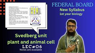 ultra structure of animal and plant cell  Svedberg unit  class 11 [upl. by Casandra]