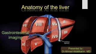 1Anatomy of the liver [upl. by Bornstein584]