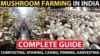 MUSHROOM FARMING  MUSHROOM CULTIVATION in India  Composting Spawning Casing Pinning Harvesting [upl. by Saxena]