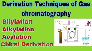 Derivatization techniques of gas chromatography ll B pharm 7th sem ll part2 ll In hindi [upl. by Jaala]