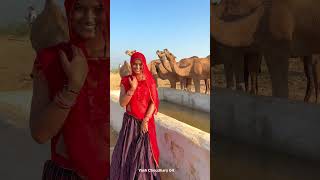 सादगी 😍 simplicity beauty rajasthan marwadi video khana desi youtubeshorts shorts culture [upl. by Annil]