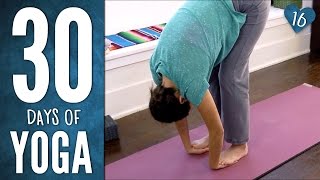 Day 16  Easy Breezy Beautiful Yoga  30 Days of Yoga [upl. by Lal]