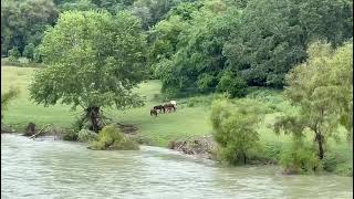 HUASTECA POTOSINA RIO TAMPAÓN [upl. by Salbu]