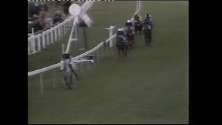 1984 Tolworth Hurdle  Desert Orchid [upl. by Groves910]