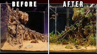 Dragon Stone Nano Aquascape  Planting [upl. by Amal970]