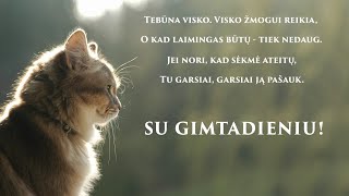 Sveikinimas su gimimo diena ♫♬♪ [upl. by Nerha]