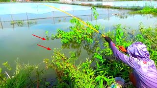 SPOT TAMBAK LEWAT kalo seperti ini Mancing disungai aja super cepat dapat ikan mas kalo pas sarang [upl. by Asillam]