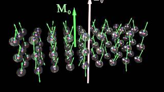 NMR Sample magnetization [upl. by Aprilette72]