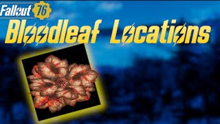 Fallout 76  Bloodleaf Locations [upl. by Kalb]