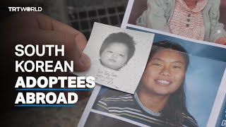 South Korean adoptees return to search for families [upl. by Anwahsak]