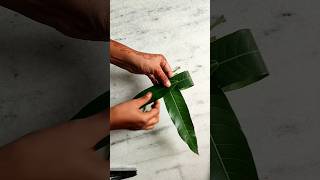 🍃🌺mango leaves decoration ideabackdrop decorationpooja decoration ideaviraldiyhomedecoridea [upl. by Rihat942]