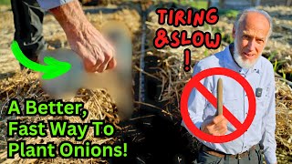 Watch This Before Planting Onions World Record Gardeners Complete Onion Planting Tutorial [upl. by Nyer]