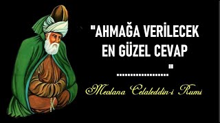 Hazreti Mevlana Mesneviden Alıntılar  Kusur Arıyorsan Tüm Aynalar Senin… [upl. by Derril598]