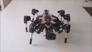 Hexapod tracking video [upl. by Clotilda443]