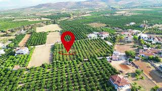 Land plot For sale Agios AdrianosNafplio Peloponnese Greece [upl. by Janis]