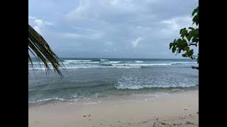 A Walk Along The Drill Hall Beach In Barbados🏖🇧🇧 [upl. by Aikin]