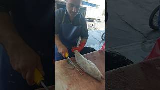 Filleting small grouper in the beginners way fishcutting [upl. by Aicella]