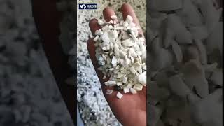 Pegmatite quartz separating experiment with AI sorting machine mineralsorting oresorting [upl. by Donoghue]