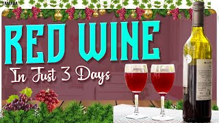 Red Wine In 3 Days  Grape Wine Recipe  How To Make Grape Wine At Home  Grape Wine Making At Home [upl. by Ahsemal]