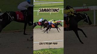 Samaritano and apprentice Melvis González winning race 5 for Kathleen OConnell GulfstreamPark [upl. by Ahsuatal71]