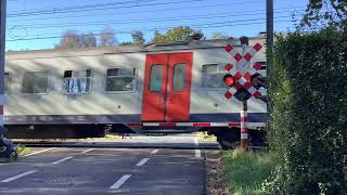 Spoorwegovergang KalmthoutBelgium Railroad crossing 🇧🇪 [upl. by Ahseiuqal18]