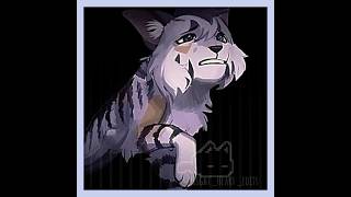 Bristlefrost Edit Motivation is on  check desc fypviral warriorcats capcut bristle [upl. by Hibbert733]