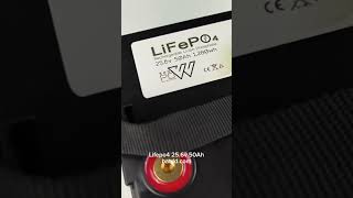 Lifepo4 battery wwwbatddcom [upl. by Theadora]