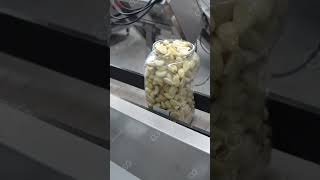 Advanced Garlic Peeling Color Sorting Line Shortens Garlic Processing Time machine garlic [upl. by Tillo513]