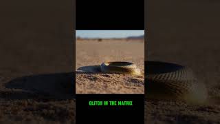 Glitch in Matrix Stealthy Snake Moves Like a Digital Phantom [upl. by Rosanne454]