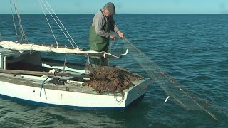 Italian net fishing [upl. by Schuster]