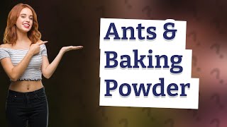 Does baking powder work on ants [upl. by Eznyl239]