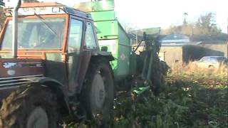 Armer Harvesting Fodder Beet Tipperary [upl. by Auop580]