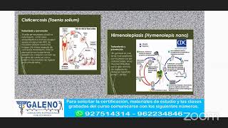 MICOSIS Y PARASITOLOGÍA [upl. by Tertia224]