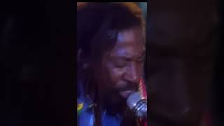 Bunny Wailers legacy in reggae music [upl. by Appilihp]