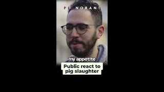 Public react to pig slaughter [upl. by Leake]