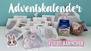 Adventskalender für Kaninchen  DIY  Kaninchenstar [upl. by Ellerrehs107]