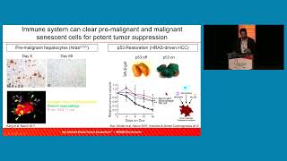 State of the Art Implications of Senescence for Breast Cancer Biology and Treatment [upl. by Atalayah328]