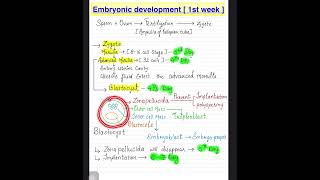 Embryonic development 1st week…trendingshorts [upl. by Jacobsohn]