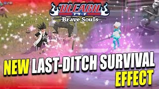 NEW LASTDITCH SURVIVAL EFFECT REVIVE and INSTANT STRONG ATTACK COOLDOWN Bleach Brave Souls [upl. by Labina]