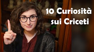 10 curiosità sui criceti cosa devi sapere se vuoi prenderne uno [upl. by Eceined]