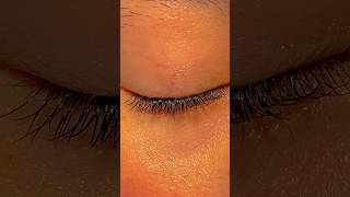 Brown Eyes lashes eyes brown browneye fypシ゚viral viralvideos fun shorts [upl. by Hillard]