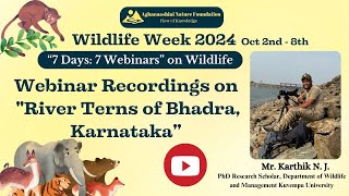 Webinar on quotRiver Terns of Bhadra Karnatakaquot by Mr Karthik N J [upl. by Nomra]